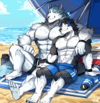  absurd_res ale/male anthro beach blush border_collie brand_new_animal canid canine canis collie domestic_dog duo herding_dog hi_res male male/male mammal mason_(trivolmckenley) muscular muscular_male pastoral_dog romantic sea seaside sheepdog shirou_ogami studio_trigger sunscreen unknown_artist water wol wolf 