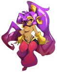  1girl absurdres breasts commentary dark-skinned_female dark_skin english_commentary full_body gradient_hair highres large_breasts long_hair looking_at_viewer multicolored_hair navel nipples open_mouth pants pointy_ears ponytail purple_hair red_footwear red_hair red_pants shantae shantae_(series) shoes slugbox smile solo sweat tongue tongue_out topless very_long_hair 