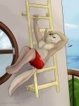  4_toes andy_(gearfox98) anthro bare_chest barefoot blue_eyes bottomwear canid canine canis clothing dangling digital_media_(artwork) domestic_dog eyebrows feet gearfox98 hi_res ladder long_tail male mammal nipples outside pecs sea shorts smile solo tail thick_eyebrows toes water 