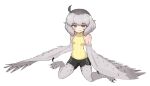  1girl ahoge bare_shoulders bird_legs black_shorts blush breasts feathered_wings grey_feathers grey_hair grey_wings harpy highres looking_at_viewer medium_hair mono_(sifserf) monster_girl original owl_girl shorts sifserf simple_background small_breasts smile sweater sweater_vest talons turtleneck turtleneck_sweater white_background winged_arms wings yellow_eyes yellow_sweater_vest 