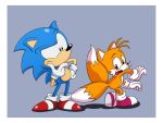  anthro border canid canine clothing duo eulipotyphlan footwear fox gloves handwear hedgehog hi_res looking_back male mammal miles_prower open_mouth scottforester17 sega shoes simple_background sonic_the_hedgehog sonic_the_hedgehog_(series) white_border 
