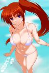 1girl bikini blue_sky breasts brown_hair cleavage cloud collarbone commentary_request engo_(aquawatery) feet_out_of_frame from_behind highres large_breasts long_hair lyrical_nanoha mahou_shoujo_lyrical_nanoha_strikers purple_eyes side_ponytail sky solo standing swimsuit takamachi_nanoha translation_request white_bikini 