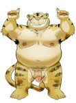  2023 anthro balls belly big_belly felid flaccid genitals hotarozato humanoid_hands kemono male mammal moobs navel nipples overweight overweight_male pantherine penis pubes simple_background solo tiger white_background 