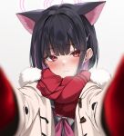  1girl animal_ears black_hair blue_archive blush cat_ears closed_mouth coat colored_inner_hair extra_ears fur-trimmed_coat fur_trim green_sailor_collar hair_ornament hairclip halo kazusa_(blue_archive) long_sleeves looking_at_viewer marisasu_(marisa0904) multicolored_hair neckerchief open_clothes open_coat pink_hair pink_halo pink_neckerchief red_eyes red_scarf sailor_collar scarf short_hair simple_background solo white_background white_coat 