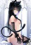  animal_ears ass biwa_ton10 black_gloves black_hair cat_ears cat_tail collar covered_nipples gloves green_eyes hair_over_breasts hair_over_one_breast highres nude original tail thighhighs windowsill 