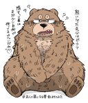  2023 absurd_res anthro balls barely_visible_balls barely_visible_genitalia bear blush bodily_fluids brown_body brown_fur fur gayousi7 genitals hi_res japanese_text kemono male mammal question_mark sitting slightly_chubby solo sweat text 