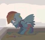  abstract_background asdfasfasda blush bodily_fluids butt clothed clothing crouching diaper diaper_peekage diaper_under_clothing embarrassed equid equine female friendship_is_magic hasbro hi_res hiding horse infantilism looking_back mammal my_little_pony pony rainbow_dash_(mlp) sand sandbox solo sweat toy wearing_diaper 