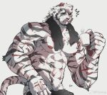  1boy abs after_bathing animal_ears arknights ass bara blue_eyes bulge cup erection erection_under_clothes facial_hair from_side furry furry_male goatee highres holding holding_cup large_hands large_pectorals looking_at_viewer male_focus male_pubic_hair mature_male messy_hair mountain_(arknights) mug muscular muscular_male navel navel_hair nipples notice_lines nude out-of-frame_censoring pectorals ppyong pubic_hair scar scar_across_eye scar_on_arm short_hair solo stomach thick_eyebrows tiger_boy tiger_ears tiger_stripes towel towel_around_neck wet wet_hair whiskers white_fur white_hair 