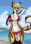 2023 anthro beach bikini biped black_nose blue_eyes blue_sky breasts canid canine cleavage clothed clothing cloud detailed_background digital_media_(artwork) eyelashes female hair hand_behind_head hand_on_chest hand_on_own_chest hi_res looking_at_viewer mammal navel novery outside portrait red_bikini red_clothing red_swimwear sand sea seaside shaded sky solo swimwear tail three-quarter_portrait water 