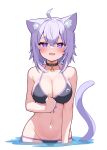  1girl :3 animal_collar animal_ears bikini black_bikini blush breasts cat cat_ears cat_girl cat_tail collar deaver hair_between_eyes highres hololive large_breasts looking_at_viewer nekomata_okayu open_mouth partially_submerged partially_underwater_shot purple_eyes purple_hair simple_background smile solo swimsuit tail virtual_youtuber water white_background 
