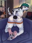  animated anthro canid canine canis clothing dalmatian domestic_dog fingering girly isakalts jockstrap male male/male mammal nsfw solo solo_focus underwear 