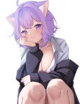  1girl :3 ahoge animal_ear_fluff animal_ears black_sweater blush breasts cat_ears cat_girl cleavage closed_mouth collarbone collared_shirt hair_intakes hand_on_own_face highres hololive large_breasts looking_at_viewer nekomata_okayu purple_eyes purple_hair raised_eyebrows shirt short_hair simple_background smile solo squatting sweater upper_body white_background white_shirt yamazakura118 