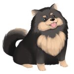  :3 animal animal_ear_fluff black_dog black_eyes commentary dog dog_request dog_tail full_body looking_at_viewer lowres original short_eyebrows simple_background sitting tail tail_raised tatsuya_(trypaint) tongue tongue_out white_background 