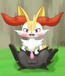  absurd_res anthro anus balls black_body blush bodily_fluids braixen butt cum cumshot ejaculation generation_6_pokemon genital_fluids genitals hi_res looking_at_viewer male nintendo open_mouth paws penis pokemon pokemon_(species) red_eyes solo spread_legs spreading tokumei_tm white_body yellow_body 