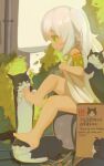  ! 1girl absurdres animal bare_legs barefoot cat drainpipe english_text feet genshin_impact green_eyes highres leaf licking licking_foot nahida_(genshin_impact) neko_blow paw_print petting sitting soles toes 