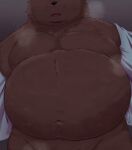  2023 absurd_res anthro bear belly big_belly bodily_fluids clothed clothing hi_res kemono male mammal moobs musk navel open_clothing open_shirt open_topwear overweight overweight_male shirt solo sweat topwear trail_arnak 