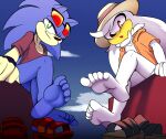  absurd_res duo eulipotyphlan eyewear feet foot_focus hedgehog hi_res looking_at_viewer low-angle_view male mammal plantigrade sega silver_the_hedgehog soles sonic_the_hedgehog sonic_the_hedgehog_(series) sunglasses tobitobi90 