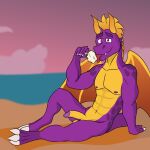  activision aged_up anthro balls beach beach_towel biceps dessert digitigrade dragon eating_ice_cream food genitals hi_res horn ice_cream male muscular muscular_male navel nipples purple_body purple_nipples purple_scales scales seaside solo spyro spyro_the_dragon tobythederg towel wings yellow_body yellow_scales 