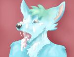  absurd_res anthro bodily_fluids canid canine cum cum_in_fur cum_in_mouth cum_inside cum_on_face cum_on_tongue disgust genital_fluids hi_res male mammal shocked tongue 