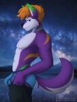  anthro blue_briefs blue_clothing blue_seam_underwear blue_underwear bottomwear briefs bulge clothing colored_seam_underwear eyewear fur glasses green_eyes hair hi_res looking_at_viewer male meme mountain muscular night orange_hair pants purple_body purple_fur sebtheredpanda solo star tight_pants_(meme) underwear 