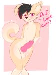  &lt;3 &lt;3_eyes animal_genitalia anthro balls black_hair blush bodily_fluids brown_body brown_fur canid canine canis cheek_tuft cum dialogue digital_media_(artwork) domestic_dog ejaculation erection facial_tuft fur genital_fluids genitals girly gyrodraws hair hi_res highlights_(coloring) hybrid knot male mammal nude penis red_eyes sheath shiba_inu shy signature simple_background solo spitz text tuft wide_hips wolfdog yai_(gyrodraws) 