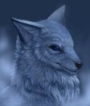  2015 ambiguous_gender black_nose blue_eyes canid canine canis detailed detailed_fur ezpups feral fluffy fur grey_body grey_fur headshot_portrait hi_res inner_ear_fluff mammal neck_tuft portrait prick_ears realistic snout solo tuft whisker_spots wolf 
