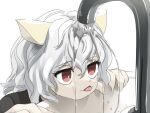  1other animal_ears cat_ears fangs fingernails grey_hair hair_between_eyes highres hunter_x_hunter neferpitou open_mouth red_eyes sharp_fingernails short_hair simple_background sink skin_fangs solo tenshinhannnn tongue tongue_out water white_background 
