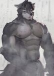  1boy abs bara beard chest_tuft covering covering_crotch ears_down facial_hair feet_out_of_frame furry furry_male highres large_pectorals looking_at_mirror looking_at_viewer male_focus mature_male mirror muscular muscular_male navel neumo nipples nude_cover original pectorals sad sanpaku short_hair solo standing steam stomach thick_eyebrows wet wet_hair wolf_boy 
