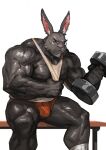  absurd_res anthro bottomwear clothed clothing exercise eyewear glasses hi_res lagomorph leporid long_ears male mammal muscular muscular_anthro muscular_male nipple_piercing nipples piercing rabbit shirt shorts solo tank_top topwear traver009 vein veiny_muscles weightlifting workout 