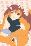  absurd_res anthro barrel_(live_a_hero) biceps bottomwear brown_body brown_fur canid canine canis clothing fur heylaw21 hi_res lifewonders live_a_hero male mammal muscular muscular_anthro muscular_male pawpads pecs shorts sitting smile solo wolf 