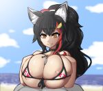  animal_humanoid areola areola_slip beach big_breasts bikini black_hair breast_play breasts cleavage clothed clothing female genitals hair hi_res hololive huge_breasts humanoid male male/female ookami_mio penis seaside sex swimwear titfuck vtuber xelsword 