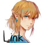  1boy blonde_hair character_name closed_mouth earrings green_eyes green_shirt hair_between_eyes highres jewelry link looking_to_the_side male_focus pointy_ears ponytail portrait psp26958748 shirt sidelocks simple_background solo the_legend_of_zelda the_legend_of_zelda:_breath_of_the_wild white_background 
