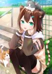  1girl animal animal_ear_fluff animal_ears animal_on_head black_thighhighs brown_hair brown_skirt cat cat_ears cat_girl cat_on_head cat_tail day fangs feet_out_of_frame fumino_tamaki green_eyes highres hood hood_down hoodie light_brown_hair long_sleeves looking_at_viewer miniskirt multicolored_hair nijisanji on_head outdoors pleated_skirt short_hair sitting skirt sleeves_past_wrists stairs tail tanaro thighhighs two-tone_hair virtual_youtuber 