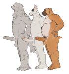  2023 anthro balls bebebebebe big_balls biped black_body black_fur brown_body brown_fur canid canine canis digital_media_(artwork) domestic_dog erection foreskin fur genitals grey_body grey_fur group hair hair_over_eyes hand_on_hip hand_on_own_hip hi_res humanoid_genitalia humanoid_penis male mammal monotone_body monotone_fur multicolored_body multicolored_fur penis plantigrade retracted_foreskin standing trio two_tone_body two_tone_fur vein veiny_penis white_body white_fur 