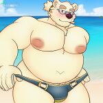  anthro barazoku beach bear belly chubby_male cigarette clothing eyewear fur fur_tuft glasses hair hi_res leib_(tas) lifewonders looking_at_viewer lucknomz male mammal overweight overweight_male pecs ponytail seaside solo speedo summer swimwear teasing tokyo_afterschool_summoners tuft undressing 