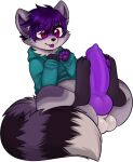  anthro balls clothing embarrassed erection footwear fur genitals grey_body grey_fur hair hi_res hoodie knot male mammal markings panigity pawpads penis pitayapunch procyonid purple_body purple_eyes purple_fur purple_hair purple_pawpads purple_penis raccoon seductive solo striped_markings striped_tail stripes tail tail_markings tapering_penis text thick_thighs topwear 