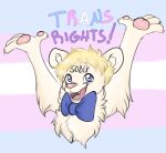  2019 anthro arm_tuft blonde_hair blue_eyes body_writing bow_tie bust_portrait chest_tuft claws domestic_ferret english_text farraigeart finger_claws fur hair harry_(hbomberguy) hbomberguy inner_ear_fluff lgbt_pride light_body light_fur male mammal mustelid musteline open_mouth pawpads pink_pawpads portrait pride_colors raised_arms sharp_teeth simple_background solo teeth text transgender_pride_colors true_musteline tuft weasel 