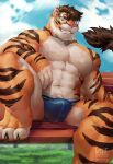  2022 abs anthro arm_on_thigh biceps blue_clothing blue_jockstrap blue_sky blue_underwear bodily_fluids brown_hair brown_stripes claws clothed clothing cloud eyewear felid fur glasses grass green_eyes hair hi_res jockstrap jockstrap_only knee_up looking_at_viewer male mammal muscular muscular_anthro muscular_male navel orange_body orange_fur pantherine pawpads pecs plant round_glasses sitting_on_bench sky smile solo striped_body striped_fur stripes sweat tiger toe_claws topless underwear underwear_only wufrick 
