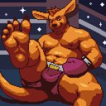  bad_end boxing boxing_gloves boxing_shorts claws clothing digital_media_(artwork) dominant dominant_male feet fighting_ring foot_fetish foot_focus handwear kangaroo looking_at_viewer macropod male mammal marsupial pixel_(artwork) plantigrade punishment raised_leg smile smiling_at_viewer smirk smirking_at_viewer solo sport tail toe_claws u4e 