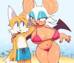  absurd_res age_difference anthro bat beach big_breasts bikini blue_eyes blush bodily_fluids breasts canid canine clothing colored_nails duo female fox glare0 green_eyes hi_res male male/female mammal miles_prower nails nervous nervous_smile rouge_the_bat seaside sega size_difference smile sonic_the_hedgehog_(series) sweat sweatdrop swimming_trunks swimwear younger_male 