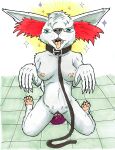  anthro begging breasts canid canine collar dildo female female_penetrated fenniken fox fullcolor genitals happy hi_res kneeling laura leash mammal nintendo nipples nude nyghtmar3 paws penetration pokemon pokemorph pussy sex_toy shiney_pokemon solo traditionlaart 