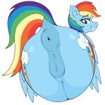  absurd_res animal_genitalia animal_pussy anus bedroom_eyes blue_body blue_feathers butt czu equid equine equine_genitalia equine_pussy feathers feral friendship_is_magic genitals hasbro hi_res mammal my_little_pony narrowed_eyes pegasus presenting presenting_hindquarters puffy_anus pussy rainbow_dash_(mlp) seductive tail tail_aside wings 