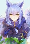  1girl animal_ears arknights black_gloves black_jacket blue_background blue_gloves blush braid commentary gloves highres jacket joul_0704 long_hair looking_at_viewer parted_lips plant provence_(arknights) purple_hair simple_background solo tail two-tone_gloves water_drop watering_can wolf_ears wolf_girl wolf_tail yellow_eyes 