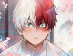  1boy akira_aishi artist_name blue_eyes blurry blurry_background blush boku_no_hero_academia branch bright_pupils burn_scar cherry_blossoms collared_shirt commentary english_commentary eyes_visible_through_hair falling_petals flower grey_eyes hair_between_eyes heterochromia highres indoors long_bangs looking_ahead lovestruck male_focus multicolored_hair pac-man_eyes parted_lips petals pink_flower portrait red_hair scar scar_on_face shirt short_hair shouji sliding_doors solo split-color_hair todoroki_shouto two-tone_hair white_hair white_pupils white_shirt wing_collar 