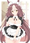  1girl alternate_costume animal_ears black_dress border breasts brown_hair cleavage commentary_request cowboy_shot detached_collar dress enmaided frilled_dress frills gurukorian hair_between_eyes highres horse_ears horse_girl large_breasts long_hair looking_at_viewer maid maid_headdress multicolored_hair puffy_short_sleeves puffy_sleeves short_sleeves solo stairs streaked_hair twintails umamusume very_long_hair white_border white_hair yamanin_zephyr_(umamusume) yellow_eyes 