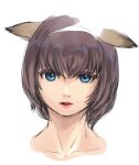  1girl animal_ears avatar_(ff11) blue_eyes brown_pupils cactus41747280 cat_ears cat_girl collarbone colored_eyelashes final_fantasy final_fantasy_xi hair_between_eyes looking_at_viewer mithra_(ff11) open_mouth portrait purple_hair short_hair simple_background solo white_background 