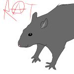  1:1 absurd_res ambiguous_gender drawing feral hi_res mammal murid murine rat rodent silly solo 