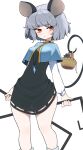  1girl animal_ears blush breasts capelet dress expressionless grey_hair highres jewelry kashu_(hizake) long_sleeves looking_at_viewer mouse mouse_ears mouse_girl mouse_tail nazrin orange_eyes petite short_dress short_hair small_breasts solo tail thick_thighs thighs touhou wide_hips 