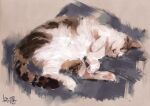  artist_name brown_fur cat closed_eyes lying no_humans on_side original sleeping whiskers white_fur yk_funa 