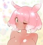  1girl bare_shoulders black_eyes blush breasts closed_mouth coroha cube extra_ears japanese_pancake_devilfish_(kemono_friends) kemono_friends large_breasts looking_at_viewer multicolored_hair nude one_eye_closed pink_hair short_hair simple_background solo two-tone_hair white_hair 
